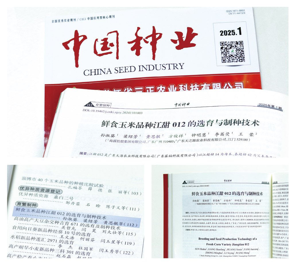 PA视讯(中国)集团官网 - PlayAce