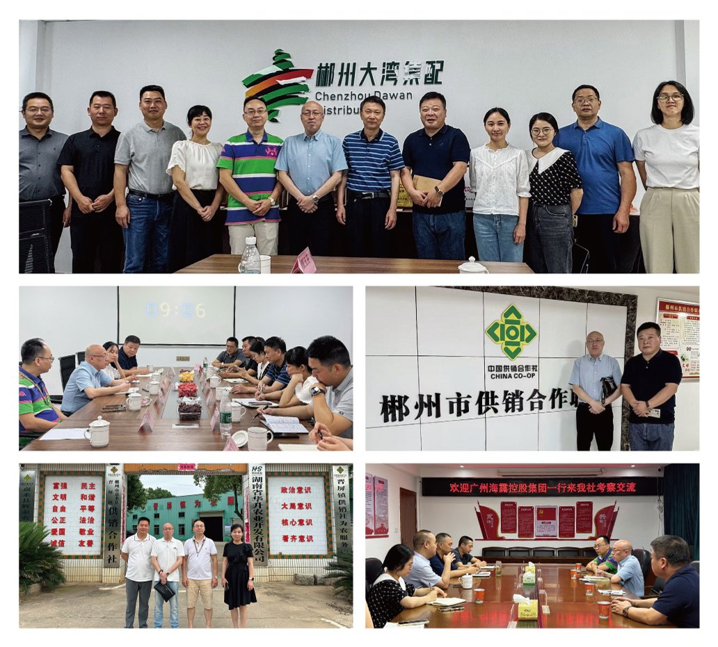 PA视讯(中国)集团官网 - PlayAce