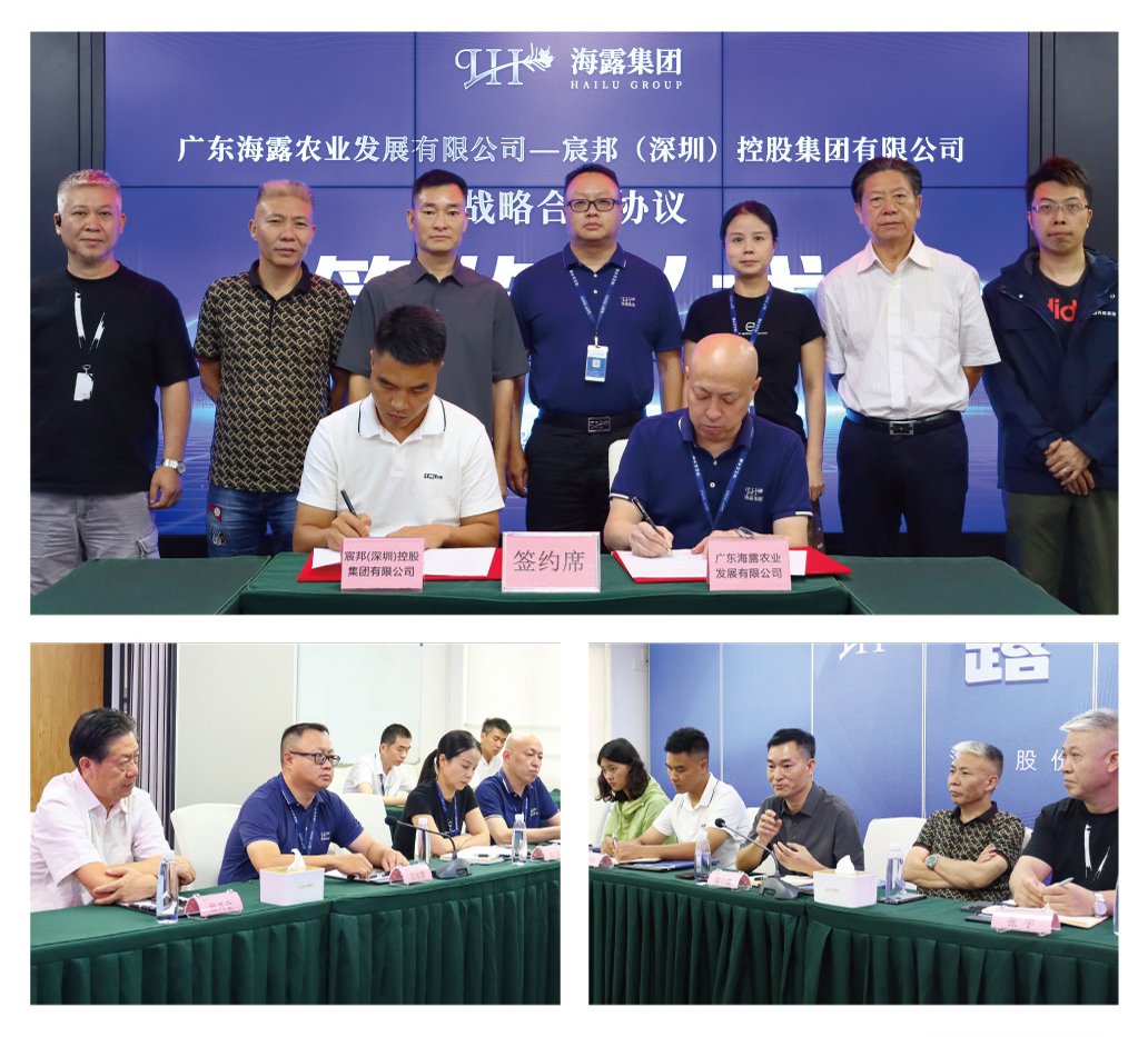 PA视讯(中国)集团官网 - PlayAce