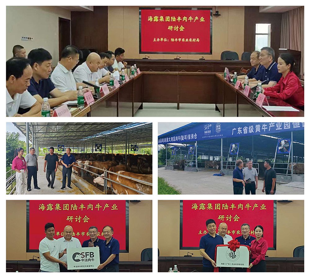 PA视讯(中国)集团官网 - PlayAce