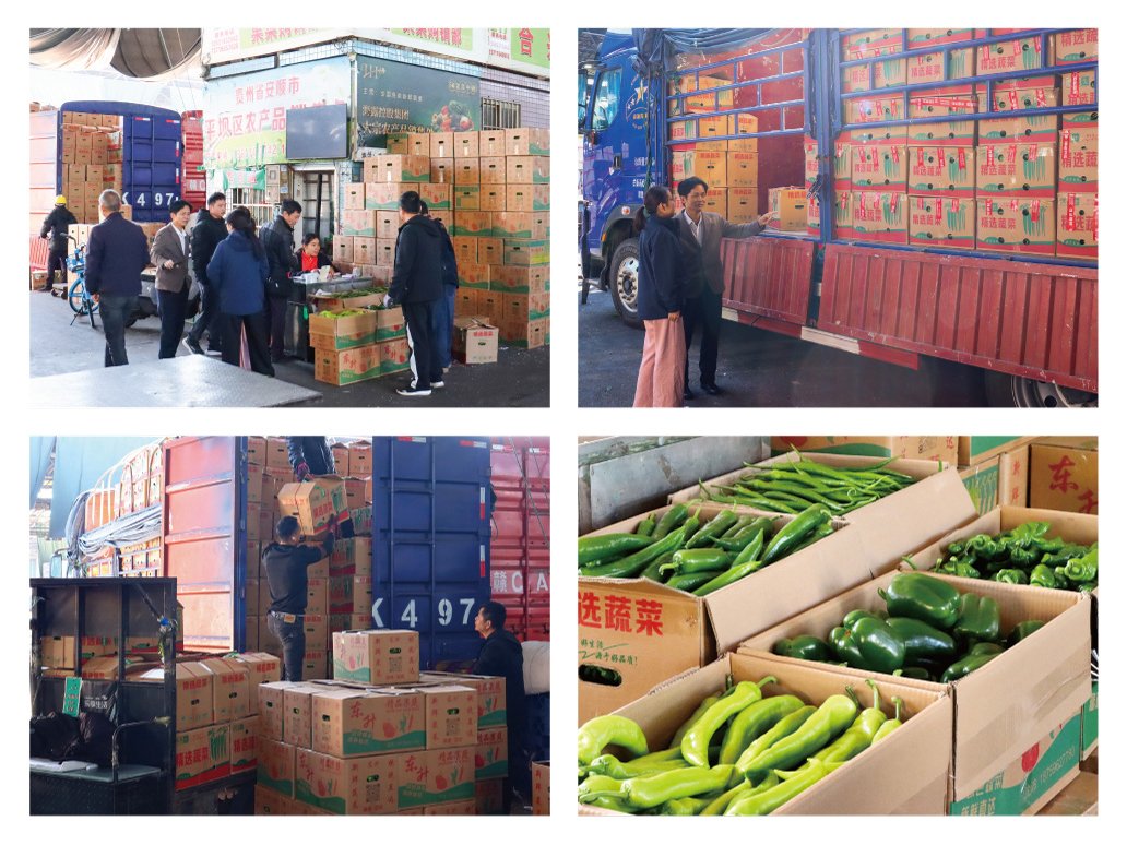 PA视讯(中国)集团官网 - PlayAce