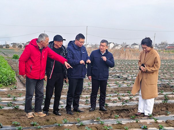 集团辅导携上海处事处赴长三角调查，深入合作拓展业务新格局